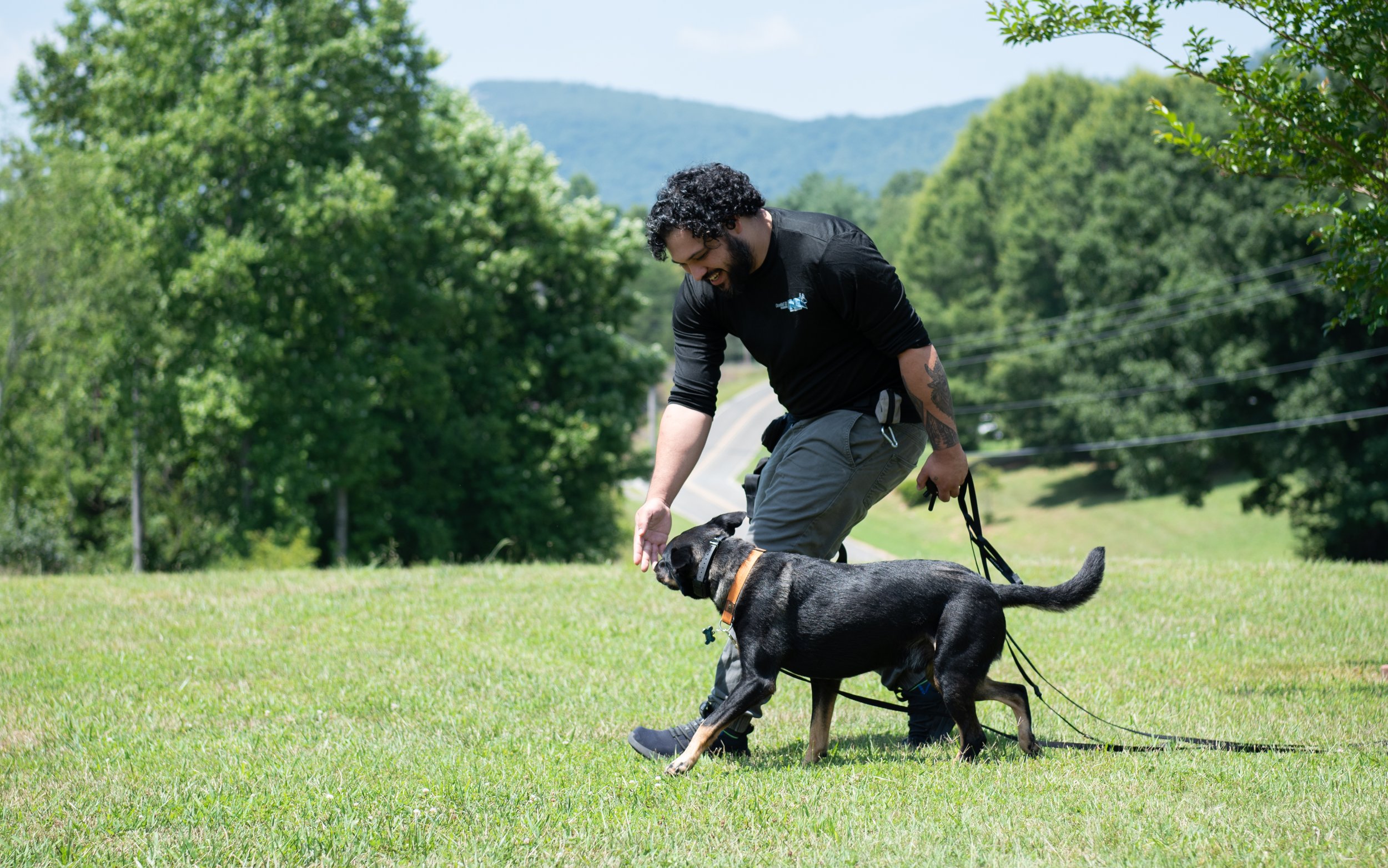 The Benefits Of Providing Obedience Training To Your Dog